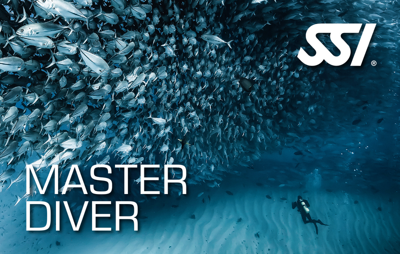 L’ambito Master Diver SSI è il passo finale della tua carriera subacquea ricreativa.Completando almeno quattro specialità oltre alla specialità Stress & Rescue ed avendo registrato almeno 50 immersioni in acqua libera, riceverai automaticamente il riconoscimento Master Diver SSI, insieme alle singole certificazioni di specialità.