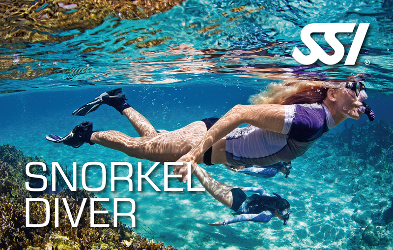 Il corso Snorkeling SSI potrebbe essere il tuo primo passo per immergerti in apnea o persino con le bombole. Molte persone si divertono così tanto che subito dopo si iscrivono ad un corso di addestramento subacqueo. Con il corso Freediving Level 1 o l’Open Water Diver, puoi completare il tuo addestramento e ottenere pieno credito di quanto hai appena realizzato nel tuo corso Snorkeling.