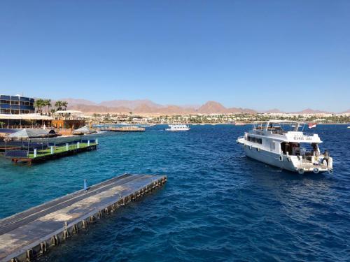 Mar Rosso 2018 - Sharm El Sheik